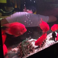 澳洲漫生活·和牛轻食(万达店) User Photo
