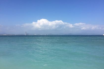 肯德基(金鼎店)