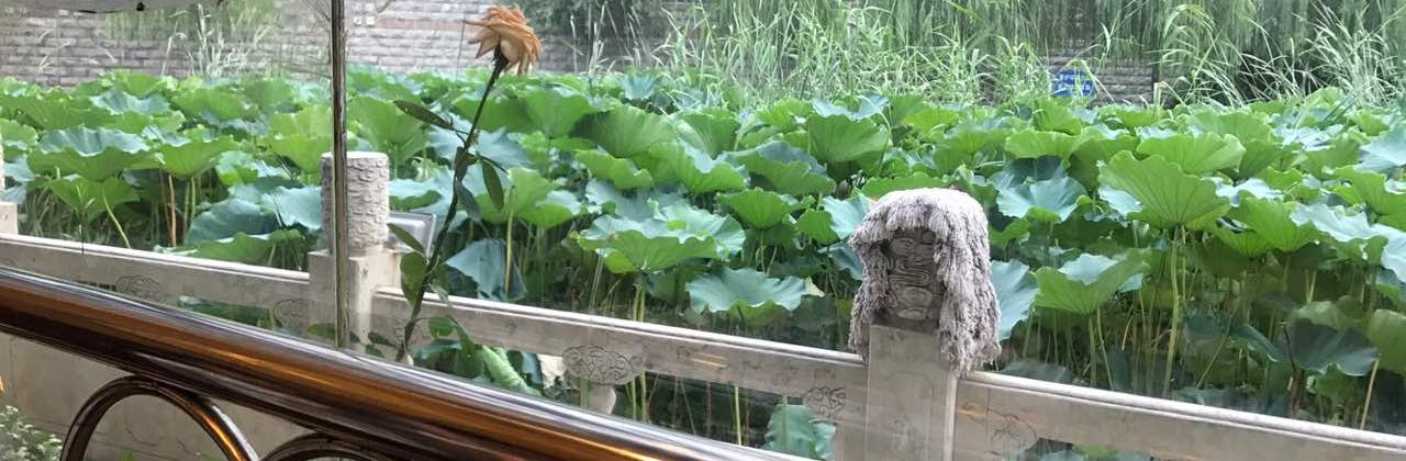 瑞元亭酒店(太白店)