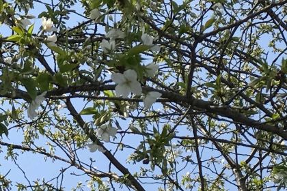 肯德基(长兴欧尚店)