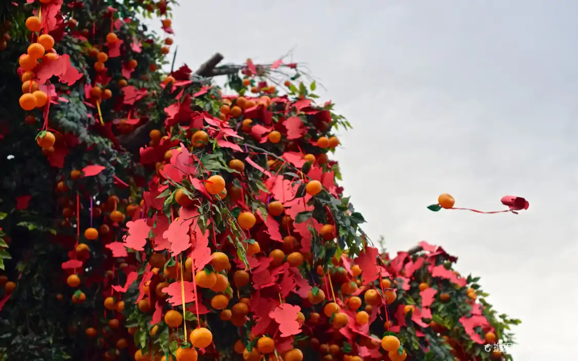 Hotels near Lam Tsuen Wishing Tree