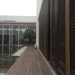 Zhongxintaifuzhujiajiaojinjiangjiudian·pinmingge User Photo