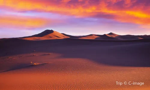 Sahara Desert