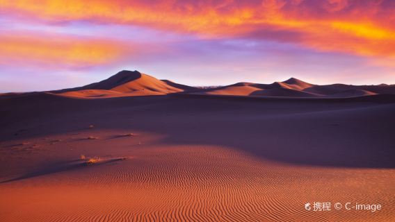 Deserto del Sahara