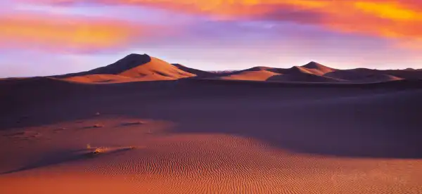 Hotels near Sunrise Sahara Camp