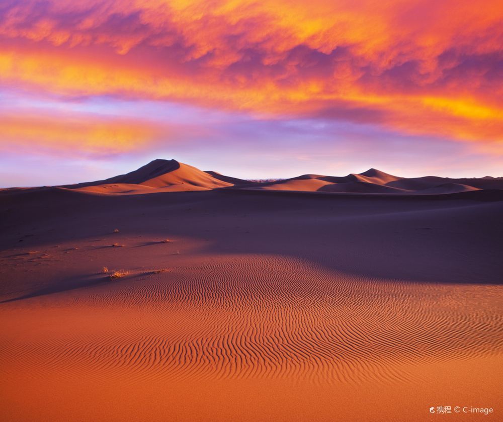 Sahara Desert