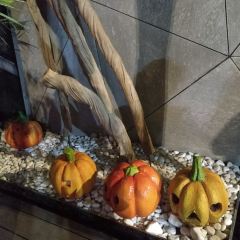 恐龙谷·温泉养生餐厅(恐龙园店) User Photo
