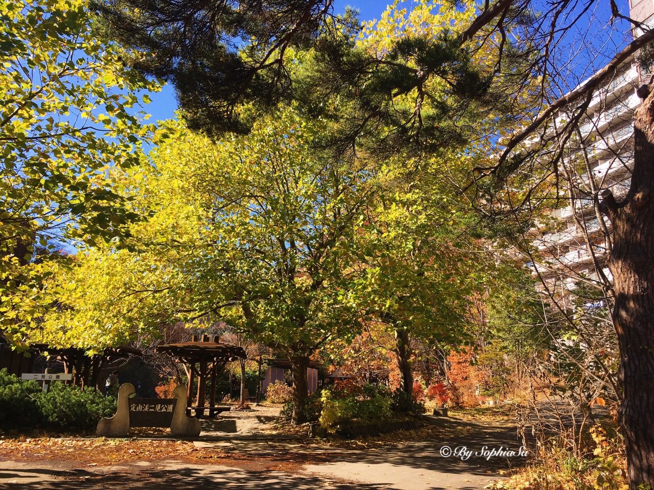 定山溪二見公園旅遊攻略指南 定山溪二見公園評論 定山溪二見公園附近推薦 Trip Com