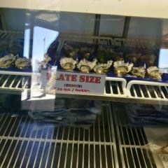 The Oyster Farm Shop 여행 사진
