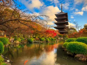東寺
