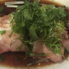 Shark Fin House(Chinatown) User Photo