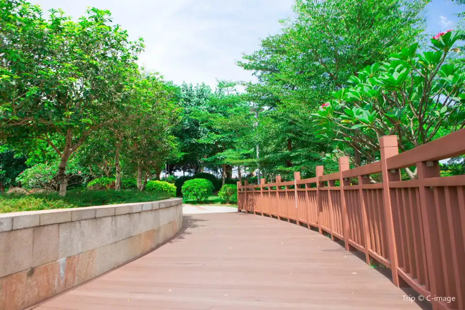 4_廣東花都湖國家濕地公園