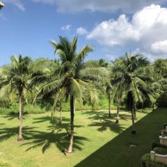 Maya User Photo