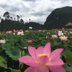 普者黑雅贝餐厅 ảnh của người dùng