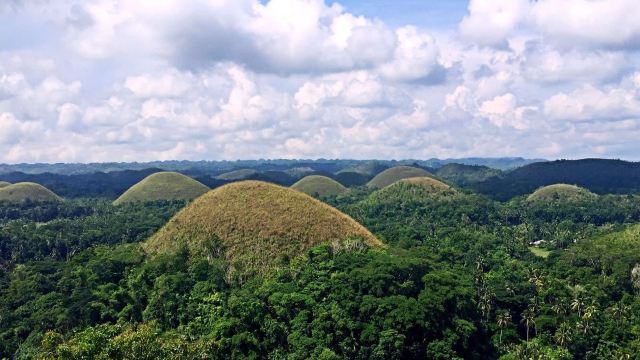 Chocolate Hills
