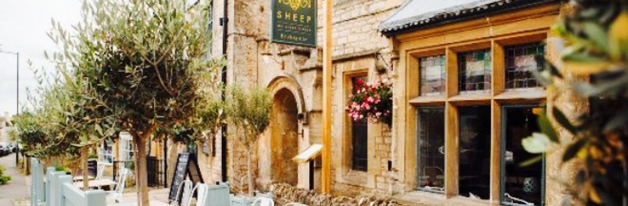 Sheep on Sheep Street