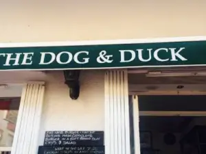 The Dog & Duck