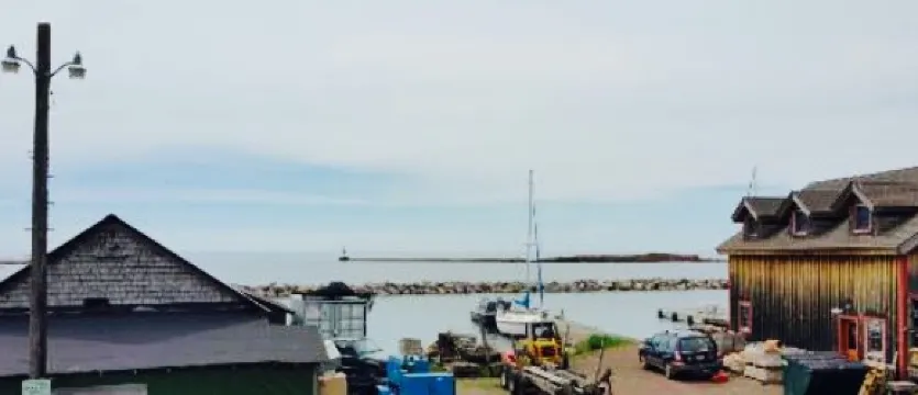 The Fisherman's Daughter at Dockside Fish Market