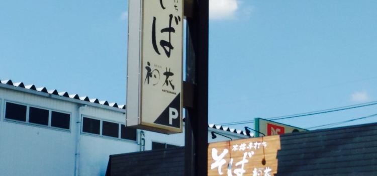 Hatsuhana Showa