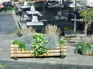 Krone