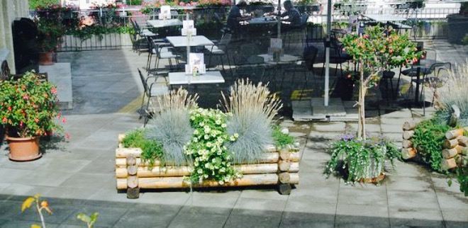 Krone