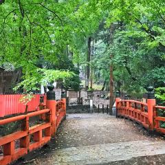 Mizuya Chaya User Photo