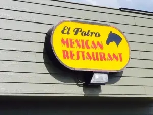 El Potro Mexican Restaurant