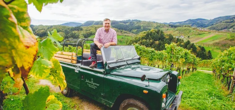 Julius Renner Weingut & Weinkellerei