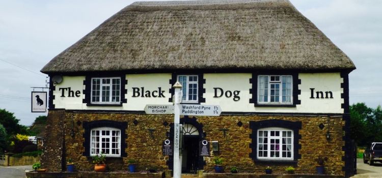 Black Dog Inn