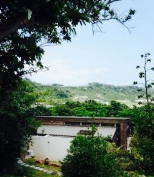 Cafe Mori Noterrace