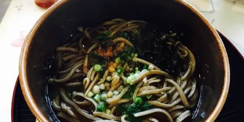 Shirotsubaki House