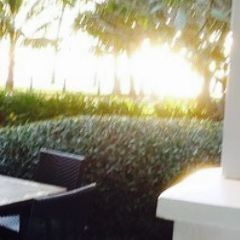 Vivo Palm Cove User Photo