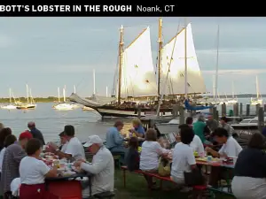 Abbott's Lobster In The Rough