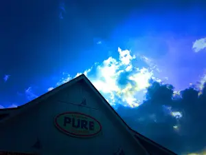Pure Taqueria