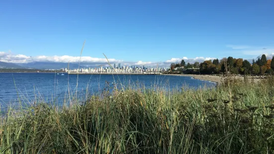 Jericho Beach Cafe