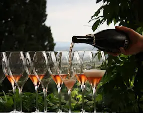 Restaurant Il Falconiere