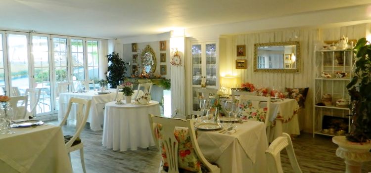 Miti Di Palma