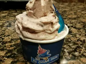 The Ice Cream Show