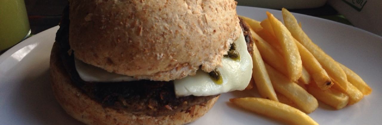 Healthy & Fun Hambrgueria