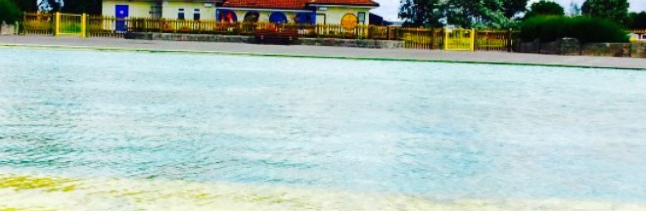 The Cafe in the Park