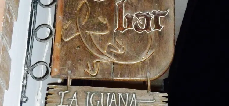 Bar Iguana