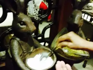 Kansar Kathiyawadi Thali Restaurant