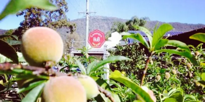 Canungra Hub Cafe & Deli