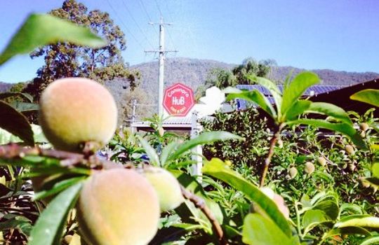 Canungra Hub Cafe & Deli