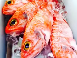 LagosFish