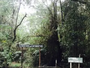 Mirador de Quetzales