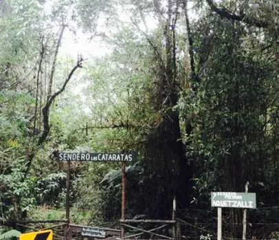 Mirador de Quetzales