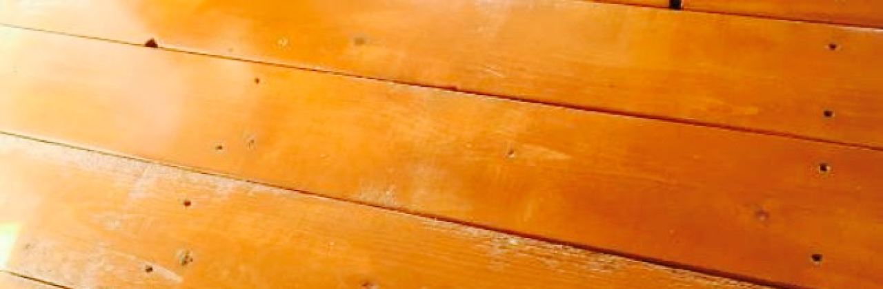 Oar House Bar & Grill at Miller's Landing Marina