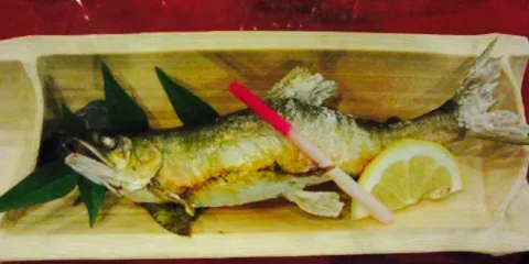 Hotel Seira Shimanto