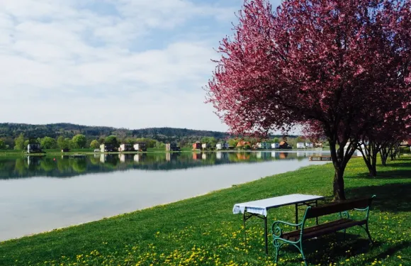 Seerestaurant Rauchwart